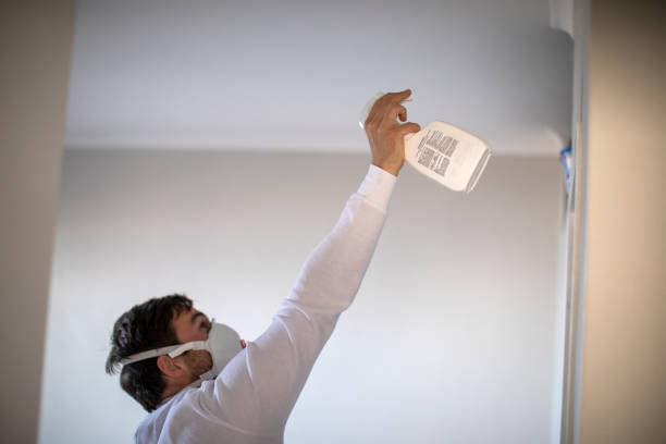 Best Fast Mold Removal  in Wilkinsburg, PA