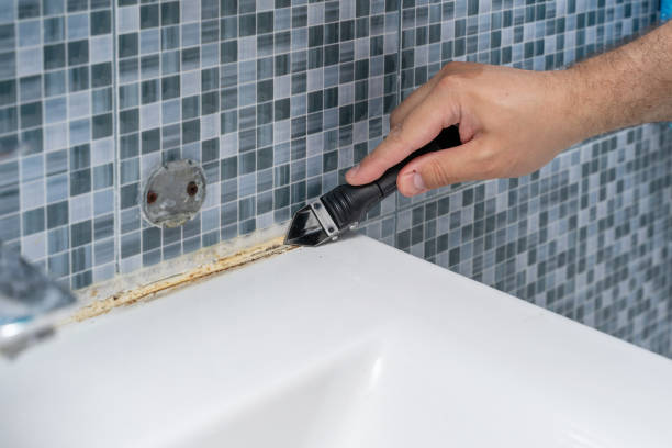Best Local Mold Removal Service  in Wilkinsburg, PA