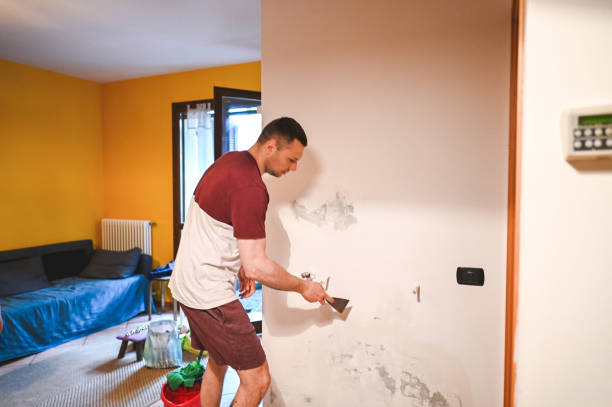 Best Mold Damage Repair  in Wilkinsburg, PA